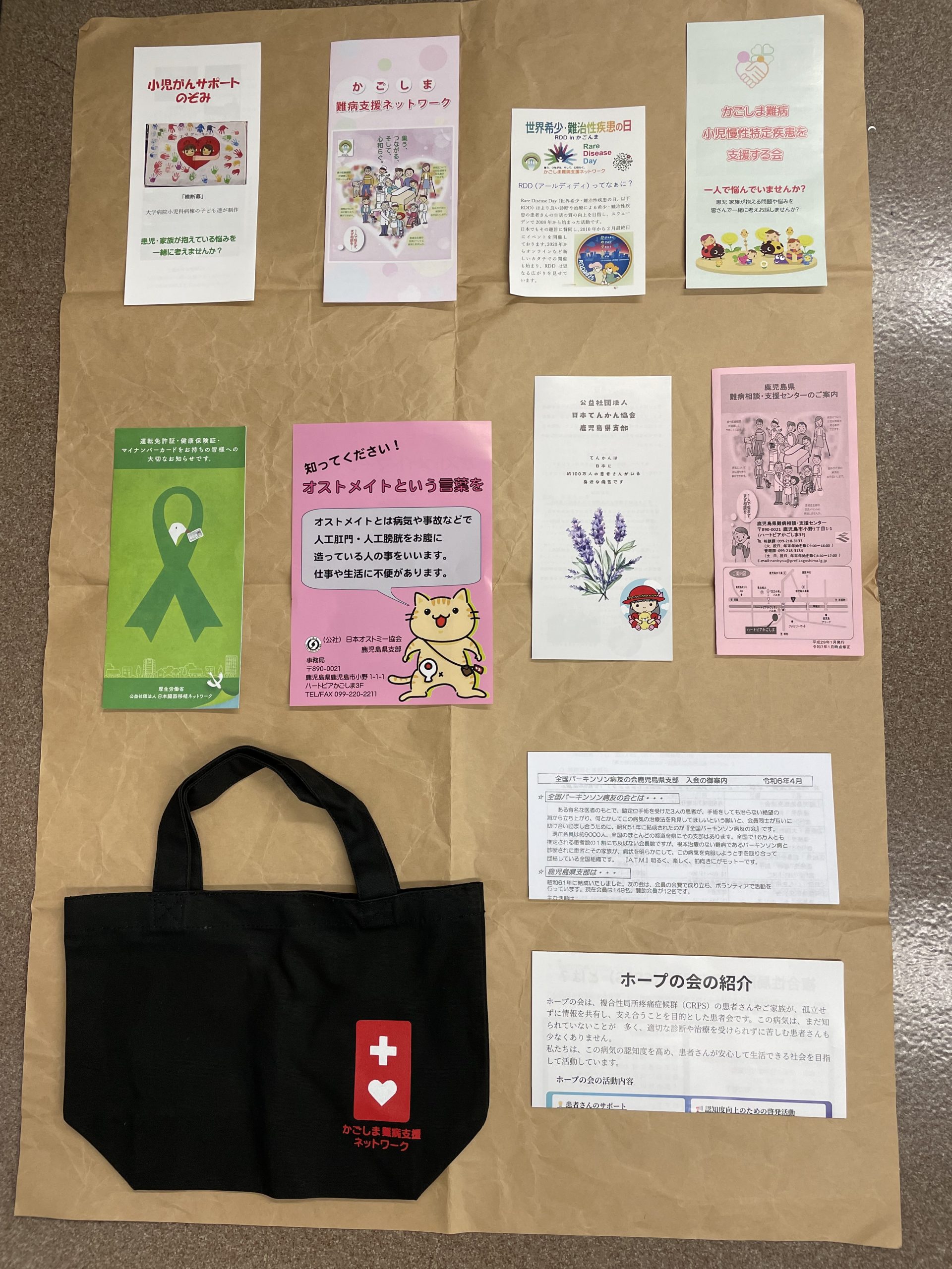 RDD鹿児島 - Rare Disease Day in Japan 2025